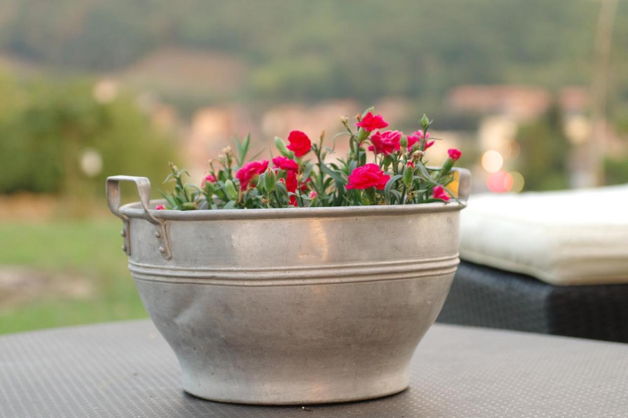 Beb Montefratta Bed & Breakfast Фрата Терме Екстериор снимка