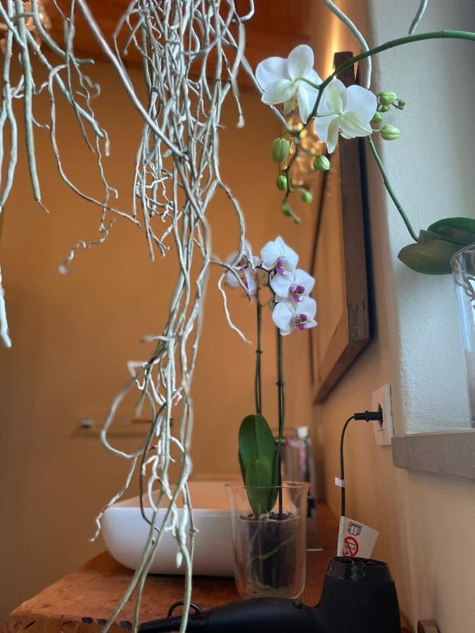 Beb Montefratta Bed & Breakfast Фрата Терме Екстериор снимка