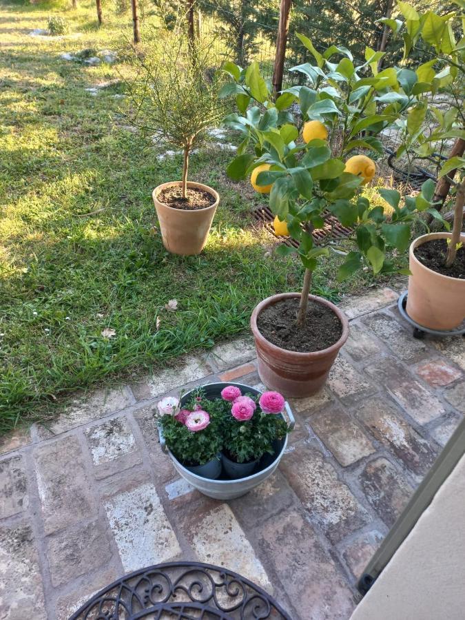 Beb Montefratta Bed & Breakfast Фрата Терме Екстериор снимка
