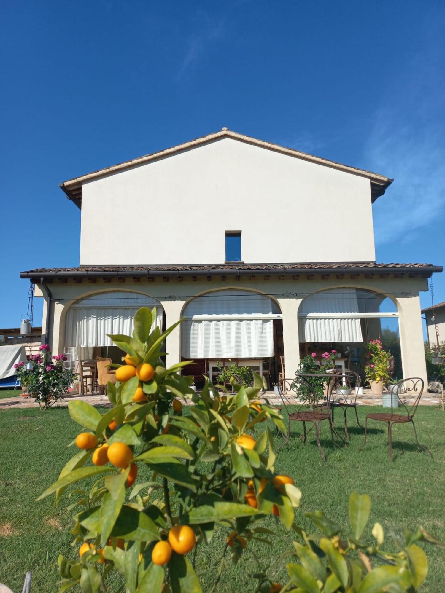 Beb Montefratta Bed & Breakfast Фрата Терме Екстериор снимка