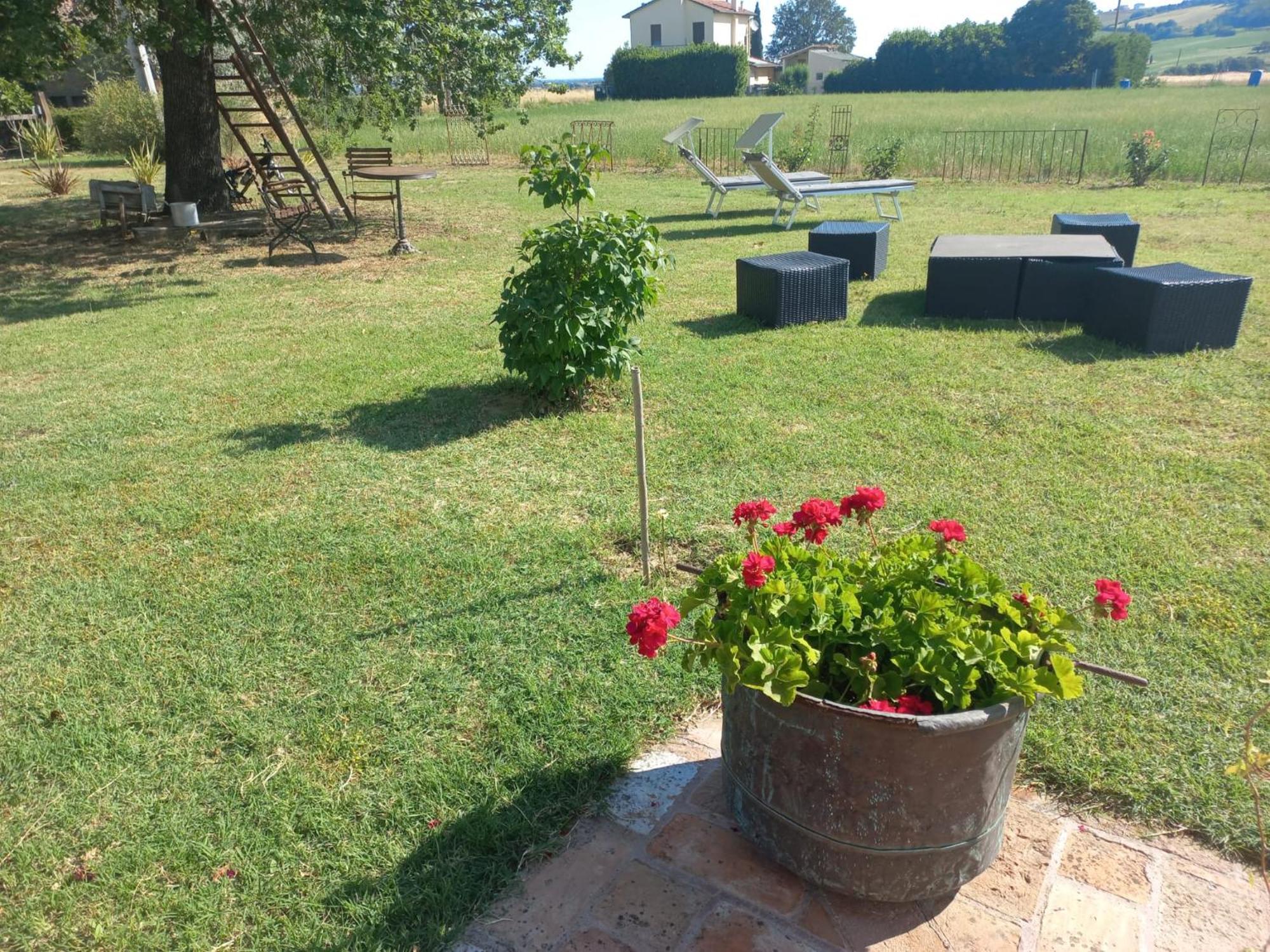Beb Montefratta Bed & Breakfast Фрата Терме Екстериор снимка