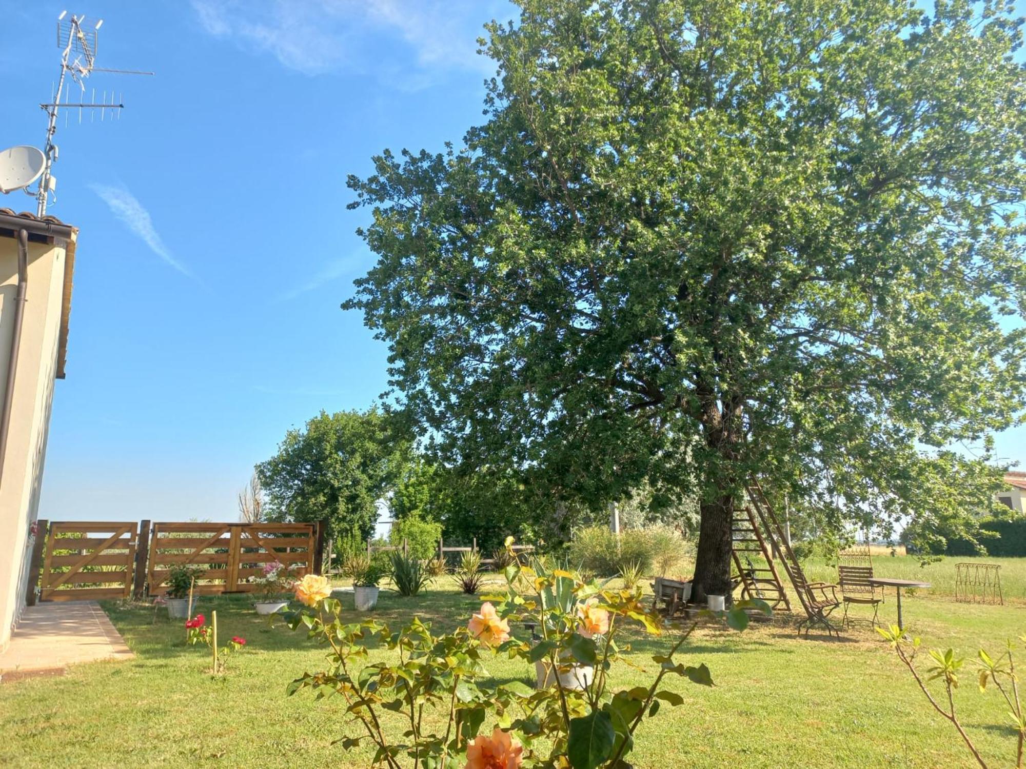 Beb Montefratta Bed & Breakfast Фрата Терме Екстериор снимка