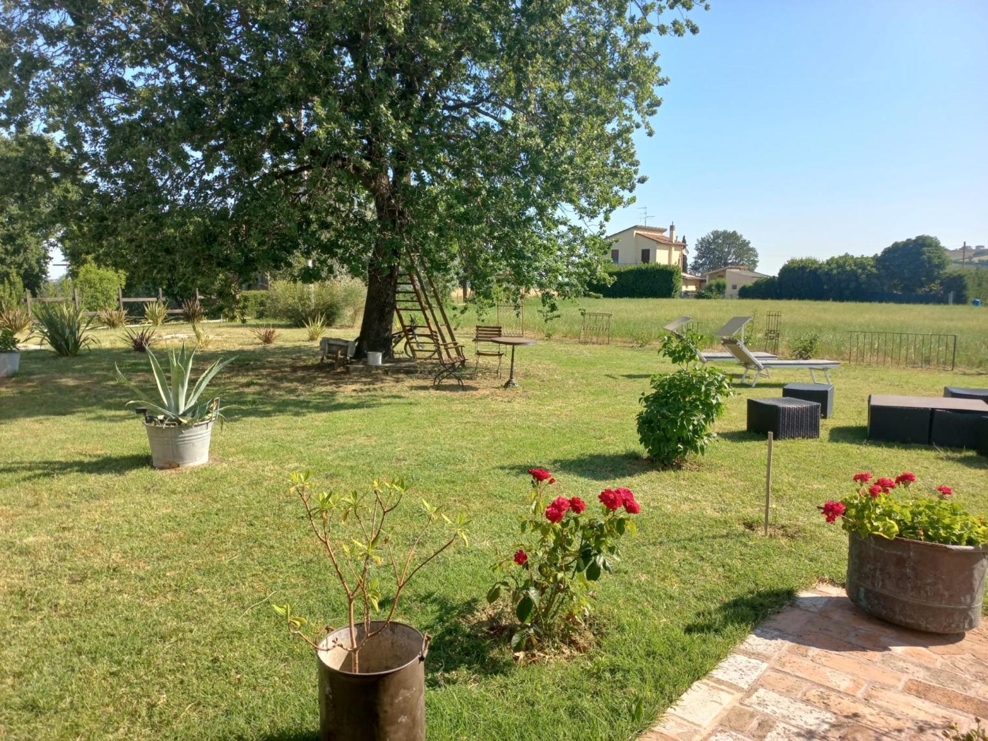 Beb Montefratta Bed & Breakfast Фрата Терме Екстериор снимка